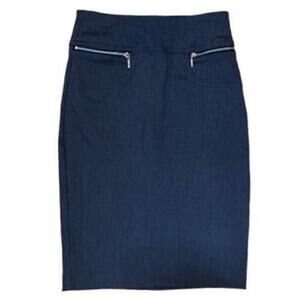 JOE B Charcoal Gray Short Pencil Skirt by Joe Bendasset ~ Women's Size XS